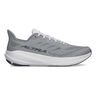 Experience Flow 2 Neutralschuh Herren-Grau