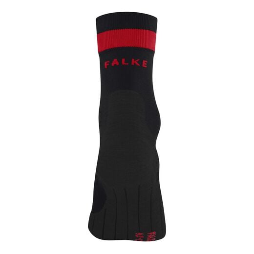 Falke
