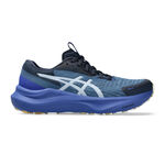 ASICS Laufschuhe ASICS GT-2000 14 Lite-Show Stabilitätsschuh Damen - blaugrau, blau
