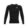 Heatgear Comp Longsleeve Herren-Schwarz,Weiß