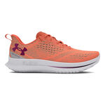 Under Armour Laufschuhe Under Armour Velociti 4 SE Neutralschuh Damen-Orange,Grau
