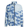Terrex MT Wind Laufjacke Herren-Hellblau,Blaugrau
