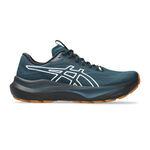 ASICS Laufschuhe ASICS GT-2000 14 TR Stabilitätsschuh Herren-Petrol,Weiß
